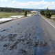 Image for article titled Once Again, Yellowstone Is Not Erupting And Killing Us All